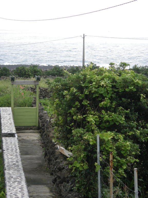Alojamentos Flores Island Faja Grande Exteriér fotografie