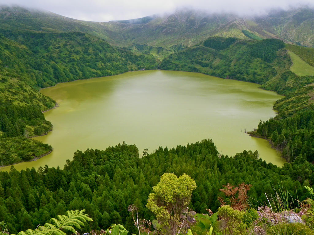 Alojamentos Flores Island Faja Grande Exteriér fotografie